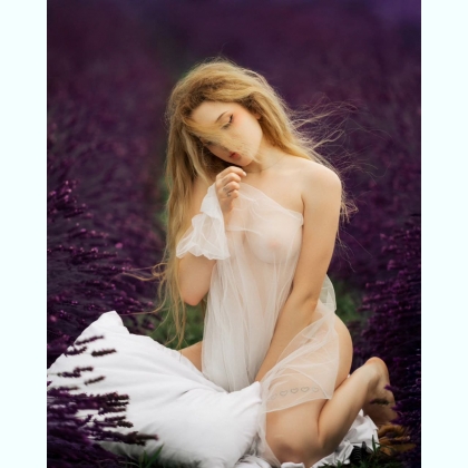 �������� �� ����. ���� �����