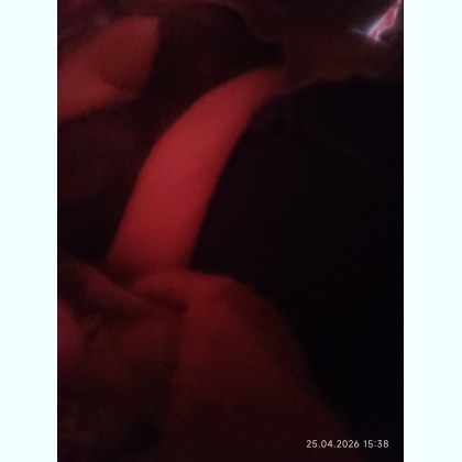 Cvcv �������� �� ������� ���������� ����.,