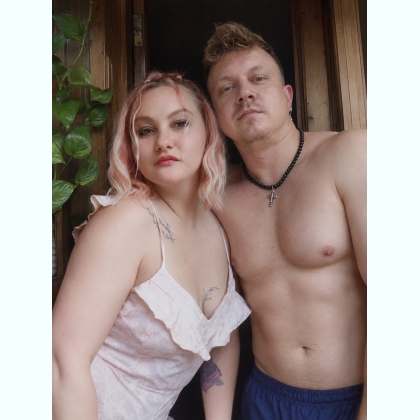 ������ 