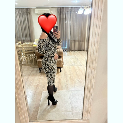 ������ �� ��������� ����� 