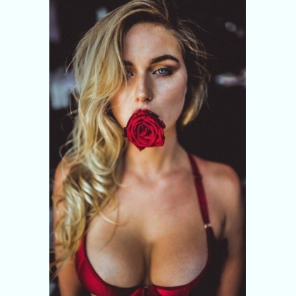 ������ �������� ����������